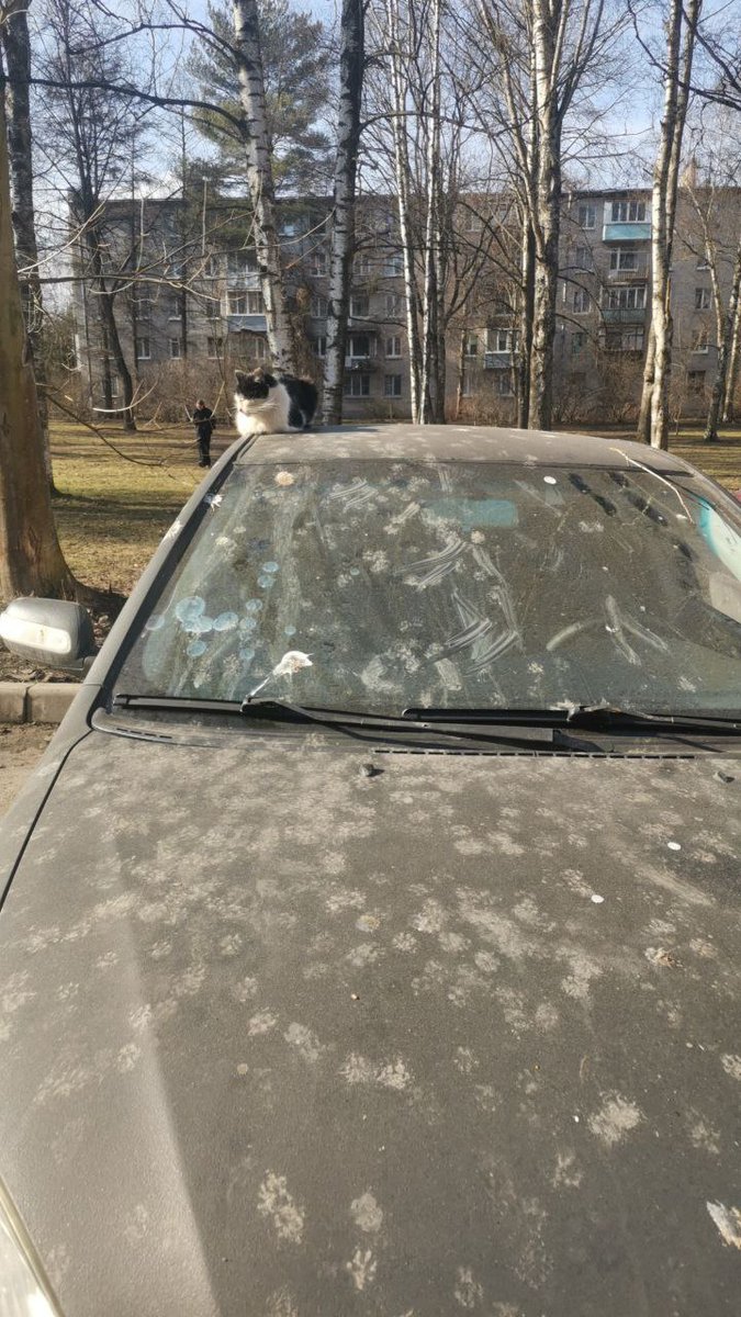 сржз tweet media