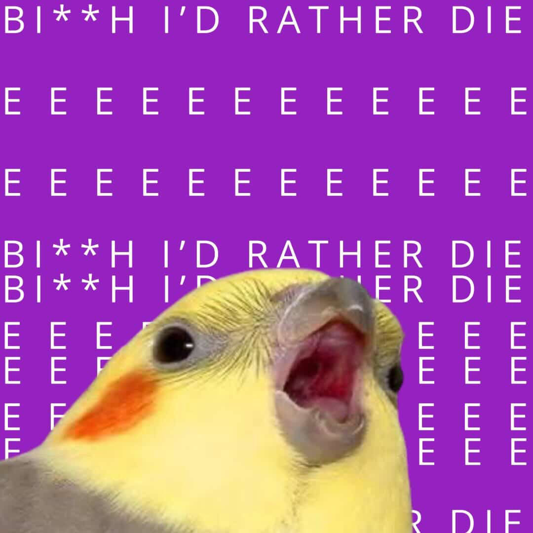 Forsaken33 tweet media