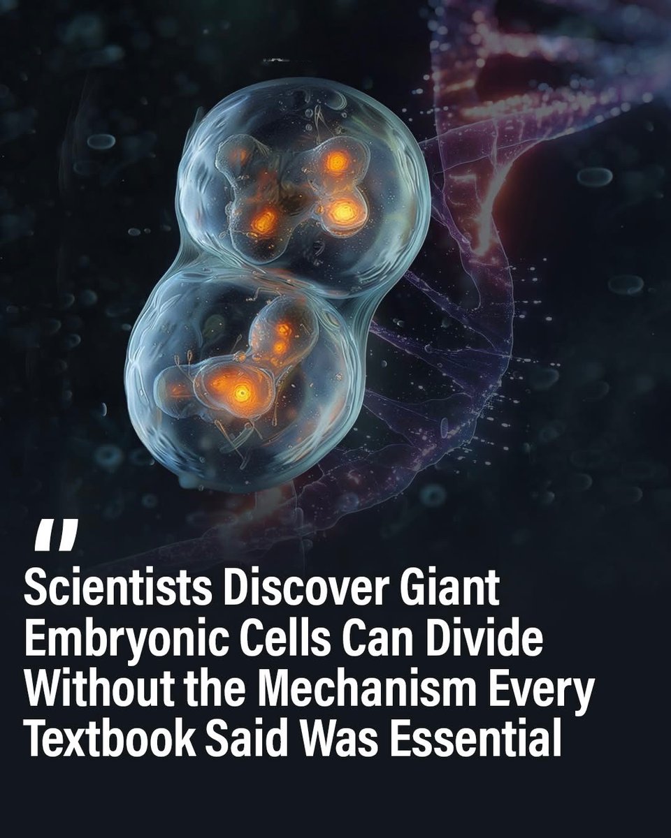 Next Science tweet media