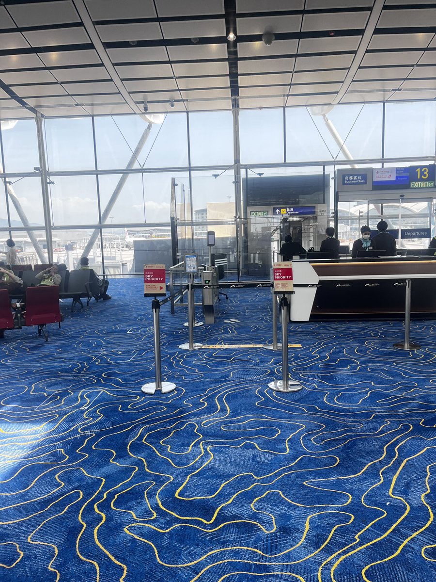 QingQing_HK tweet media