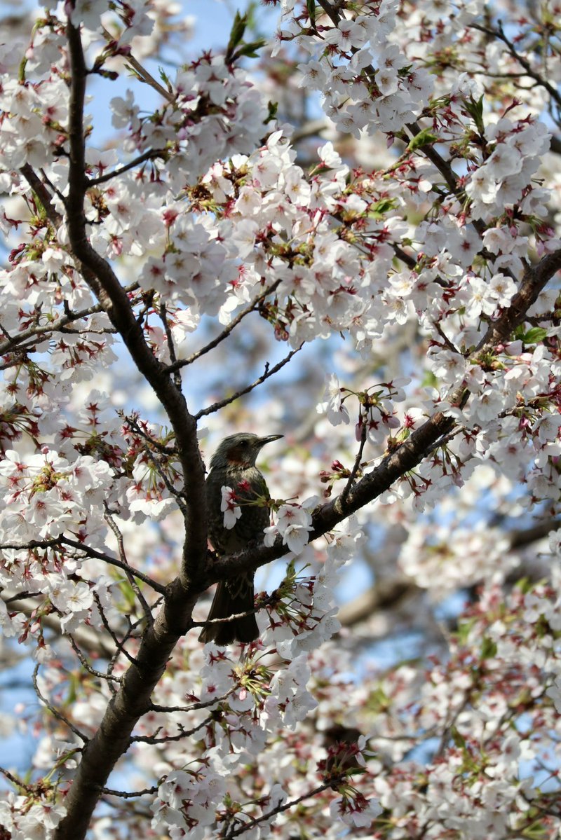 Jason Irwin tweet media