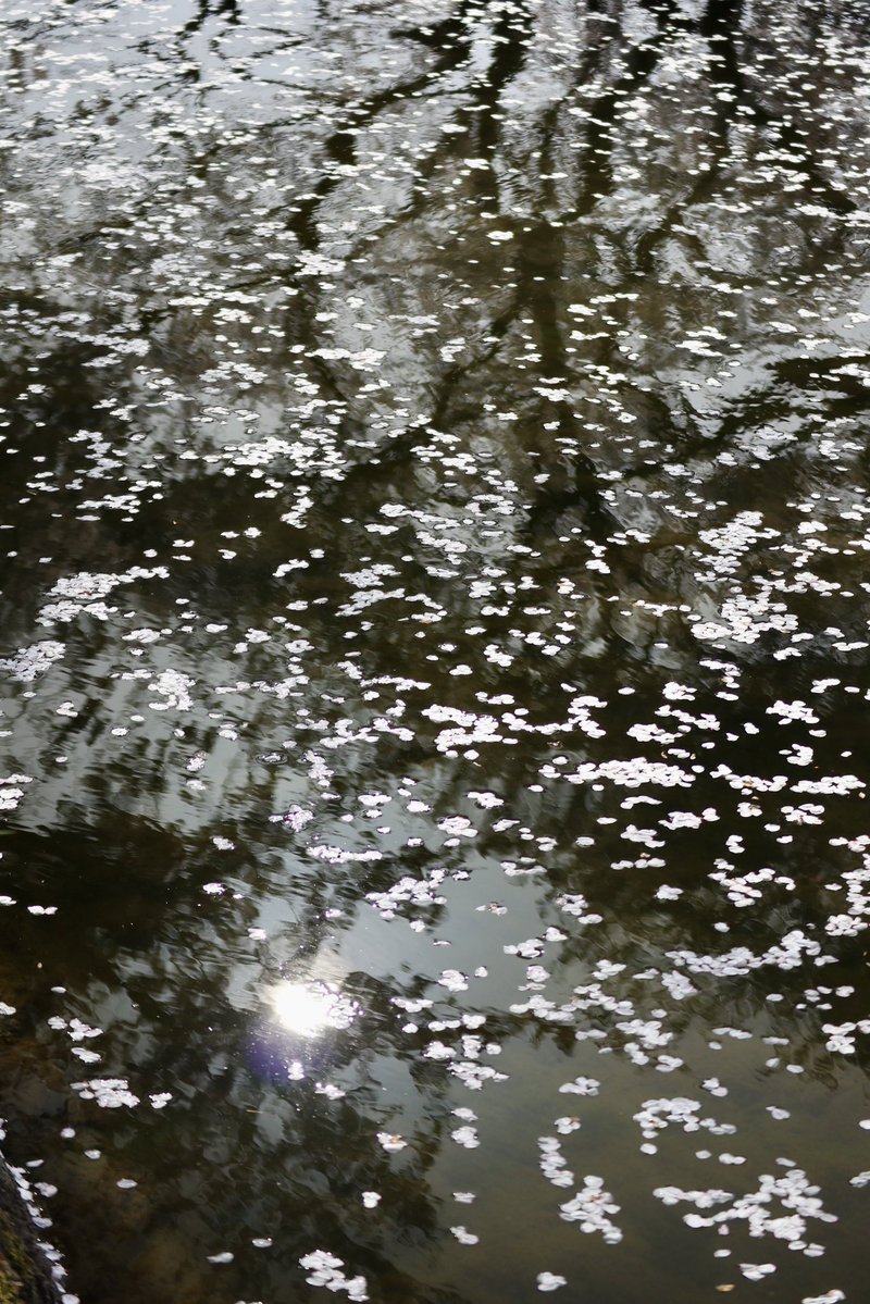 Jason Irwin tweet media