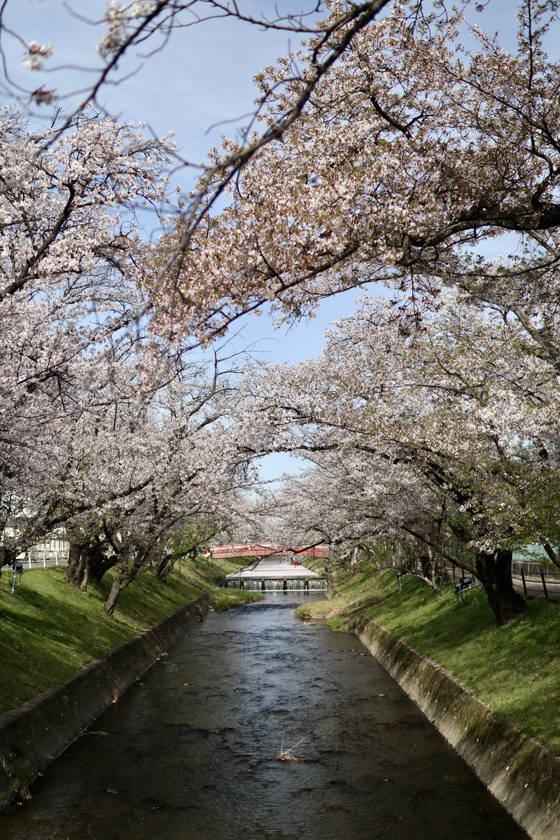 Jason Irwin tweet media