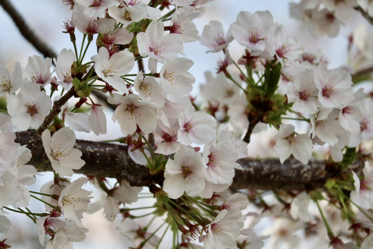 Jason Irwin tweet media