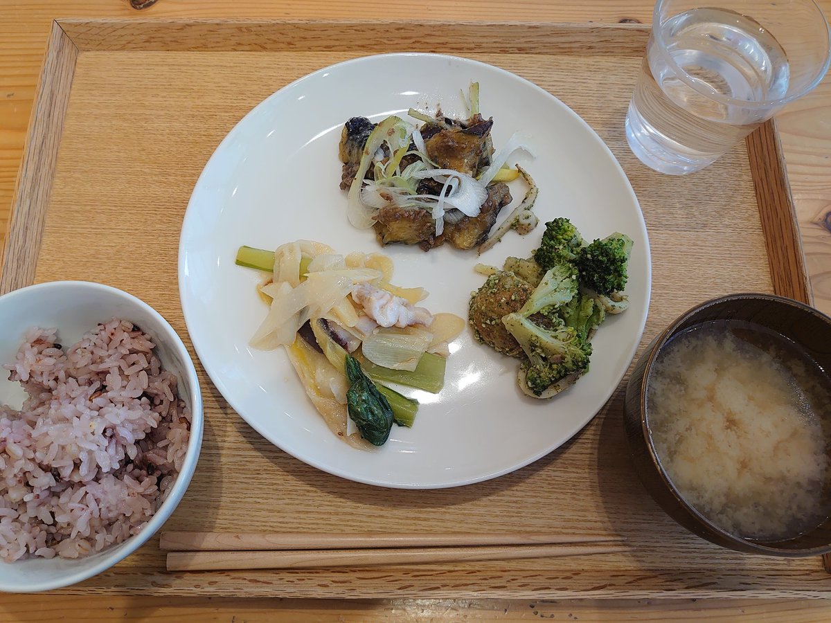 とら子 | ❥ひとり旅の日常 tweet media