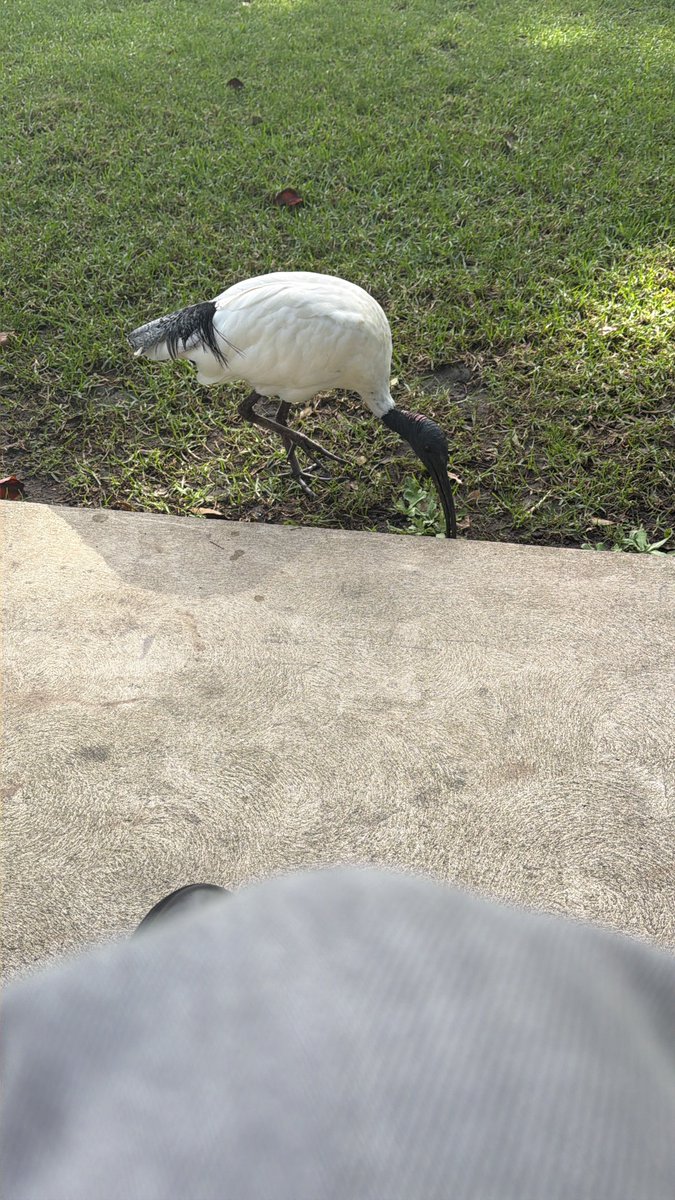 laur ☯︎ ˙⋆✮🤍💙 tweet media