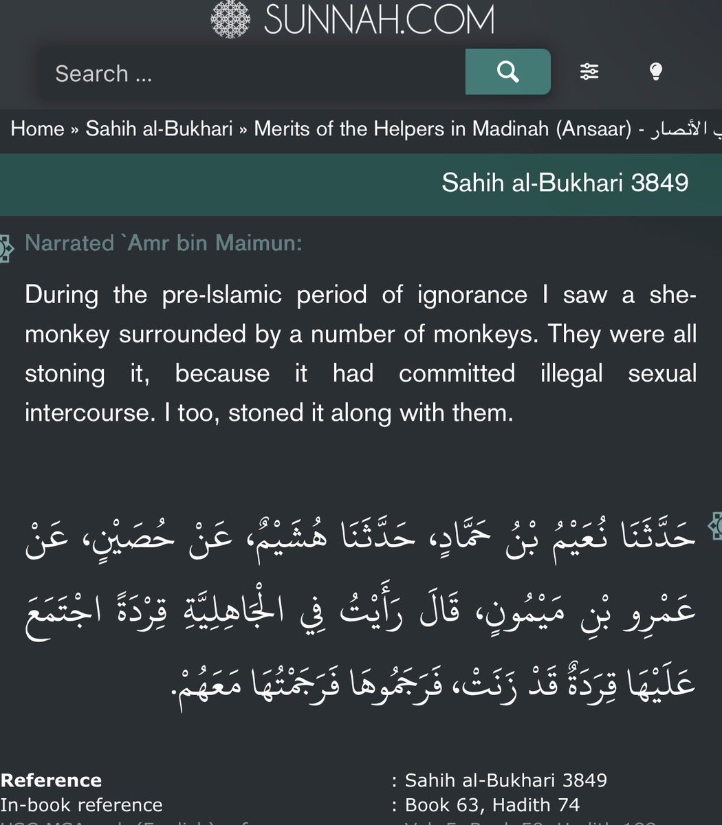 Fibonacci tweet media