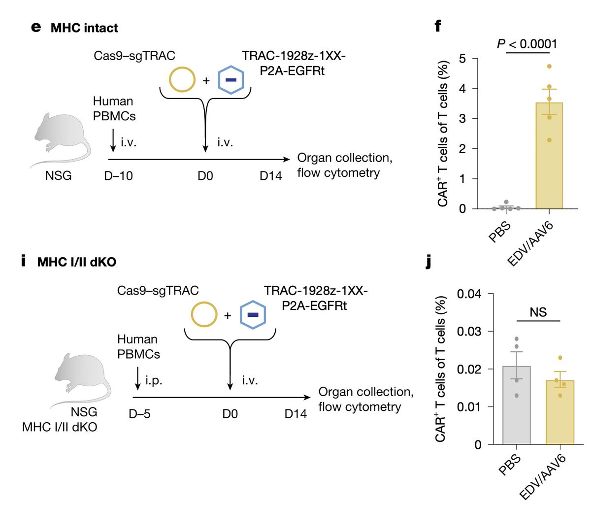 Justin Eyquem tweet media