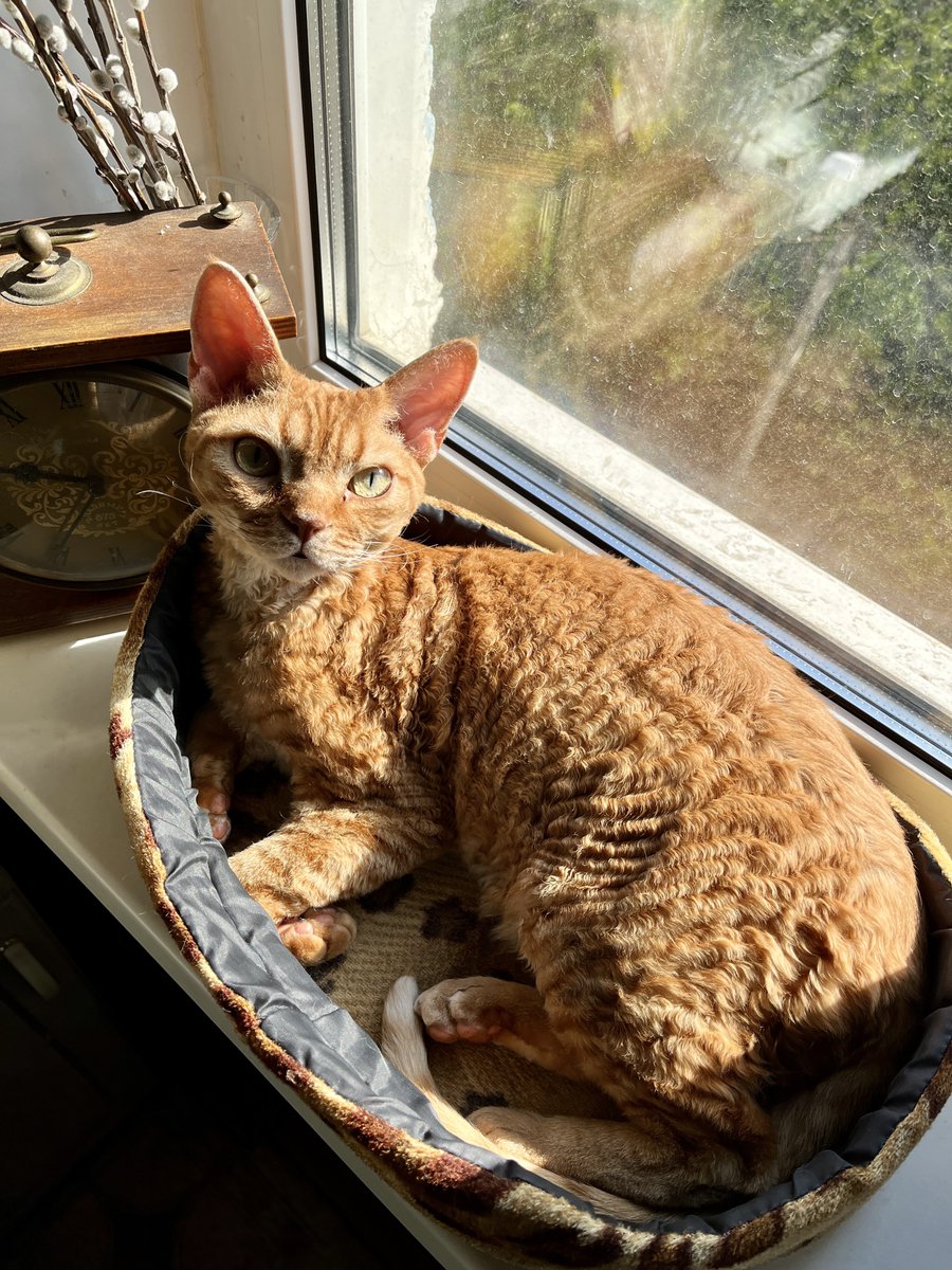 Абырвалг tweet media