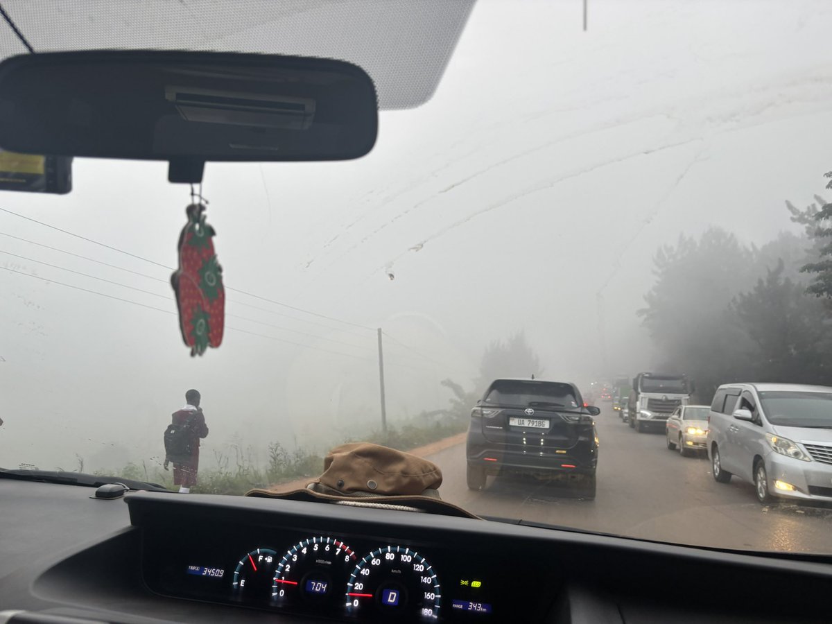 Twese Safaris tweet media