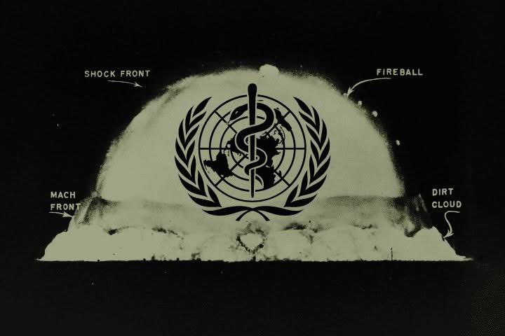 Amber Jehangir🇵🇰🇵🇸 tweet media