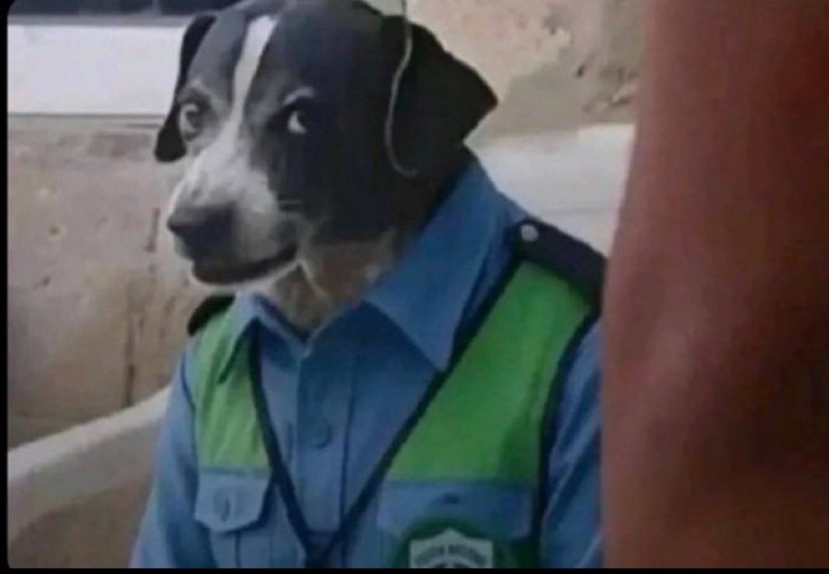 Olaz👑 tweet media