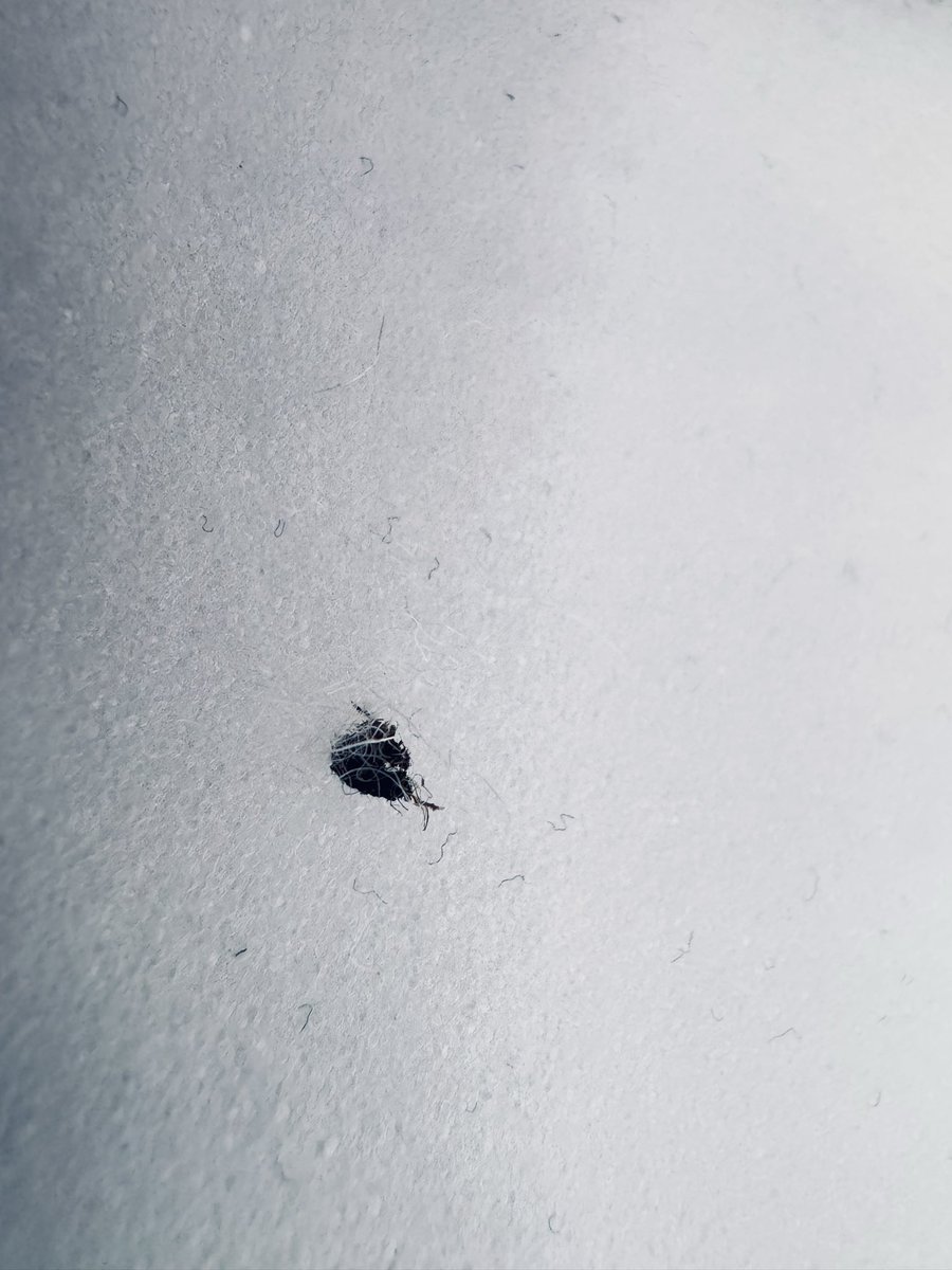 Muhammed Ashad Zalal tweet media