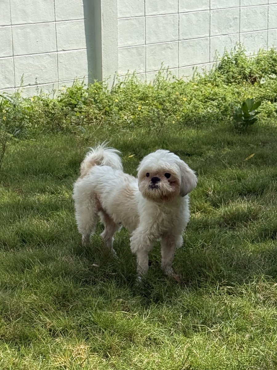 DNVP 💋 (Malonfamily) tweet media