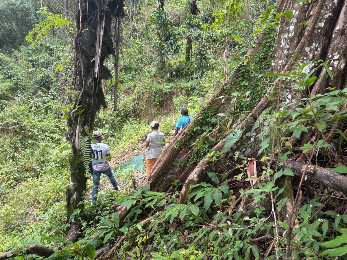 UNICEF Timor-Leste tweet media