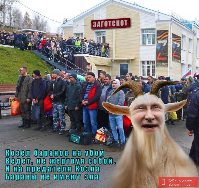 YuriNik🇺🇦 tweet media