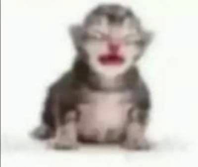 ⋆.˚✮SunnyStars✮˚.⋆// COMMS CLOSED tweet media