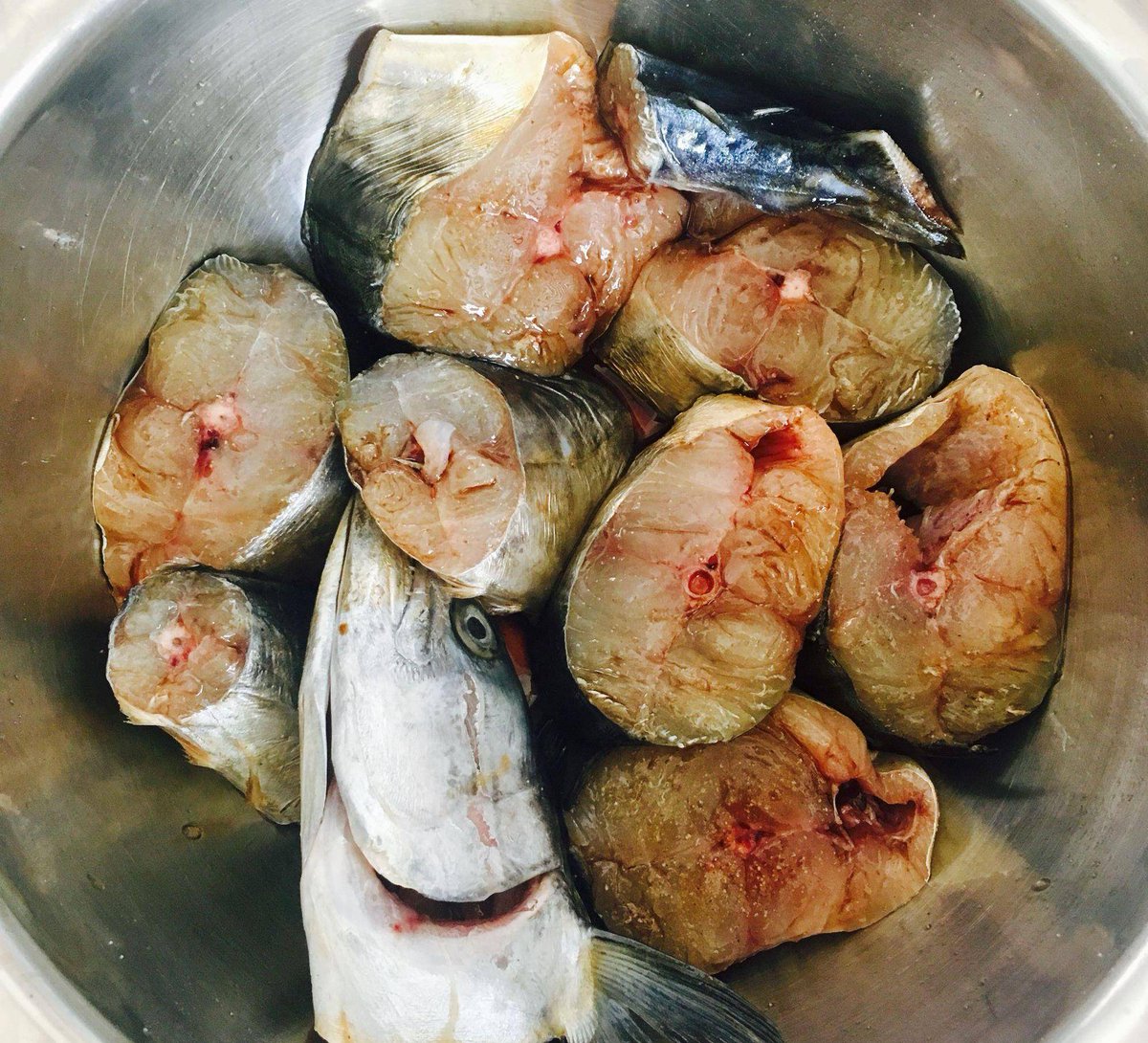 Sierra Nediu tweet media