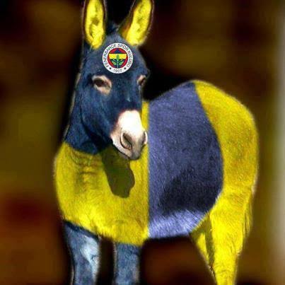 Kore Aslan🇰🇷 tweet media