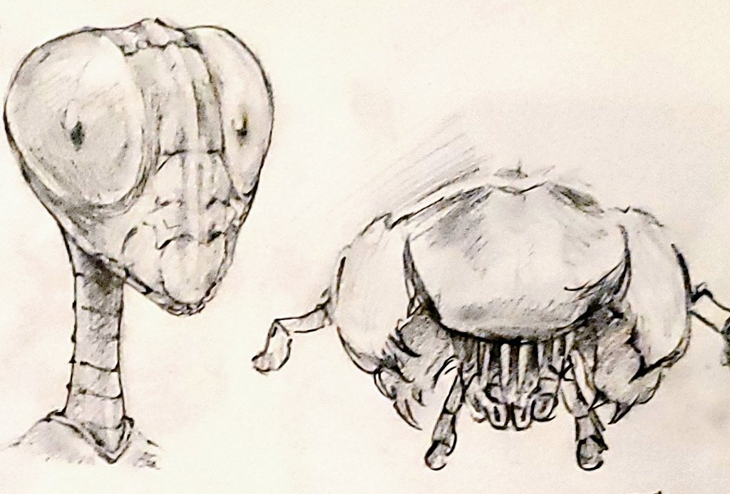 LocustTheSpawn🐸(comms open) tweet media