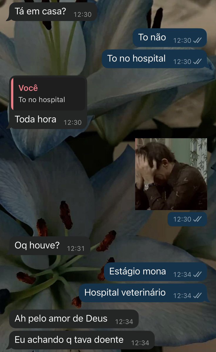 surucucu de minisaia tweet media