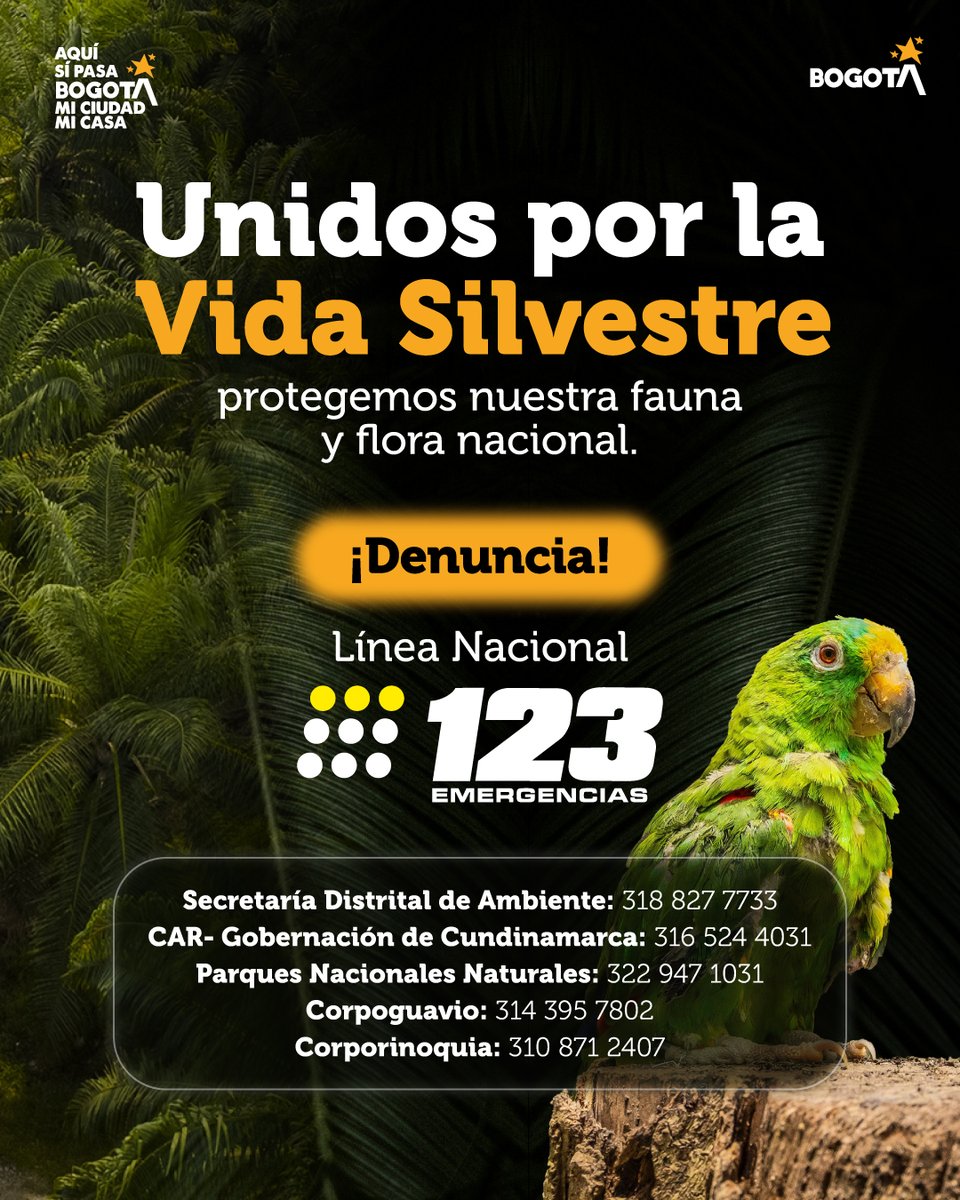Secretaría de Ambiente tweet media