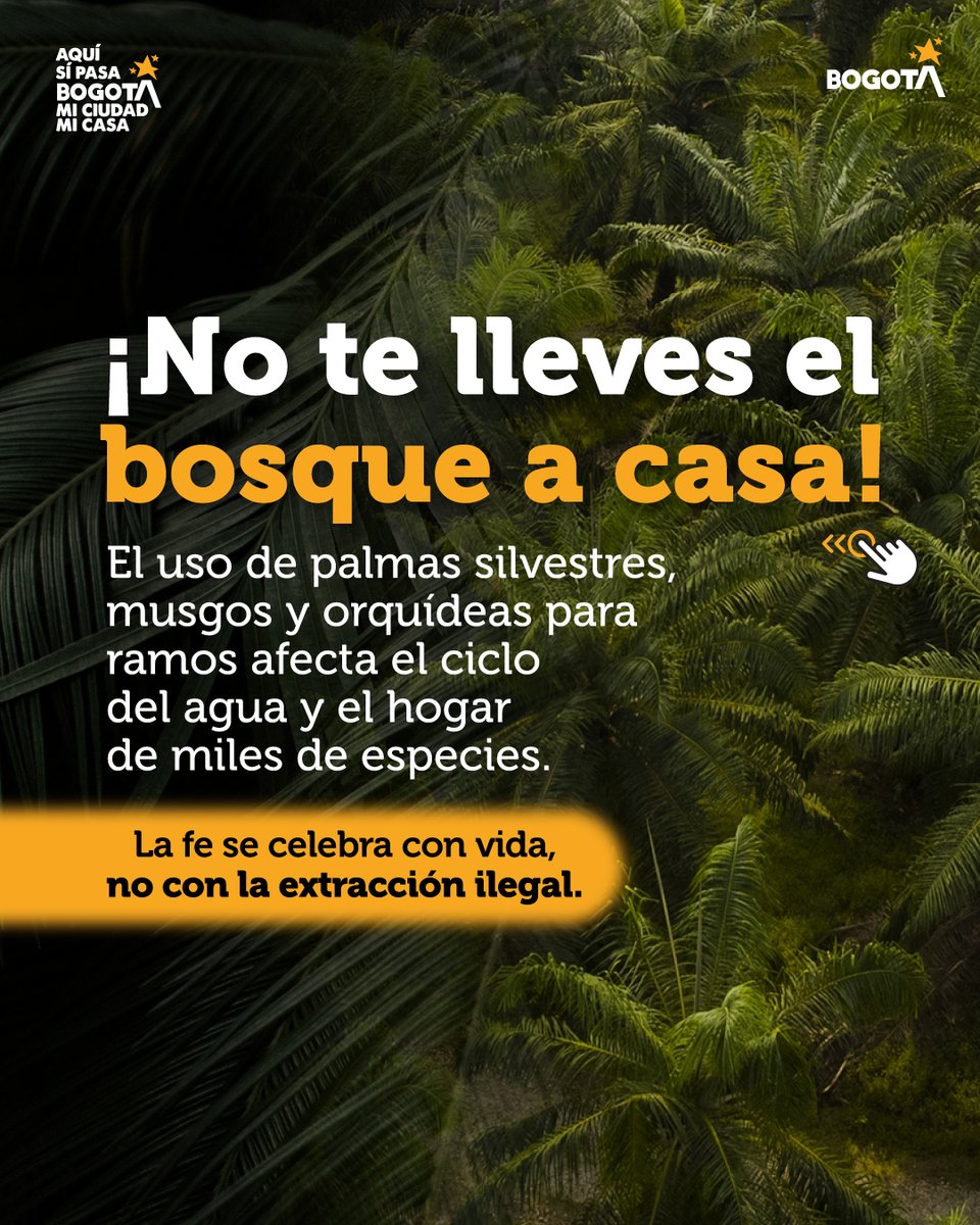 Secretaría de Ambiente tweet media