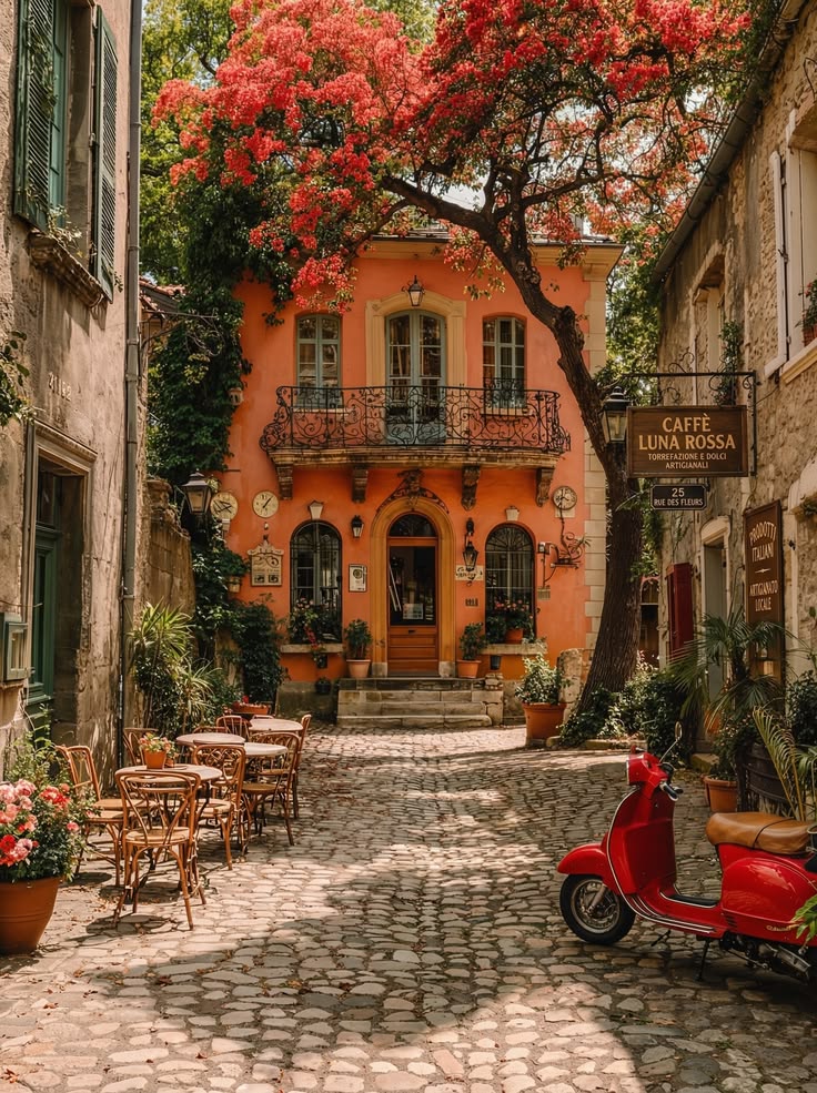 Pantious  Bianca tweet media