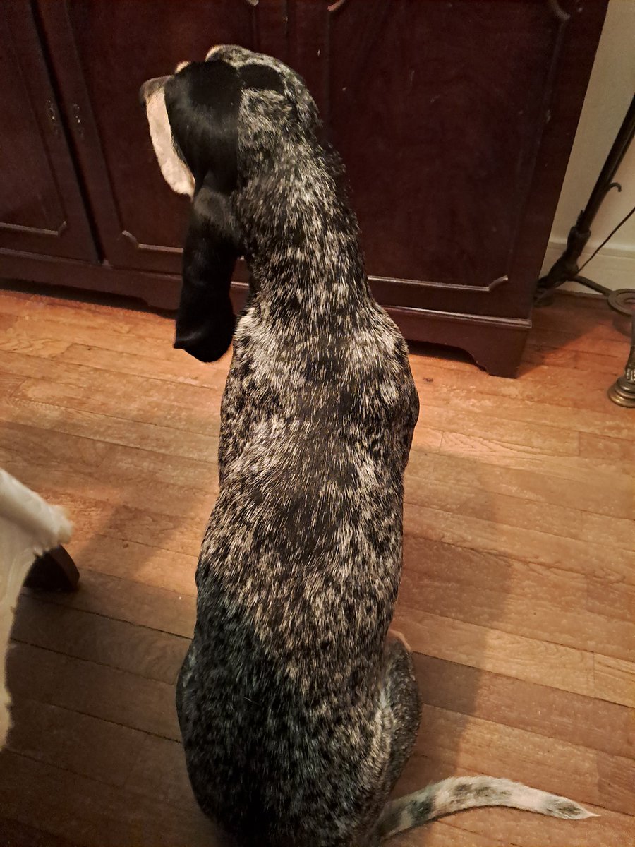 dirtycabron tweet media