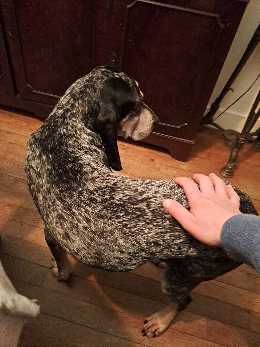 dirtycabron tweet media