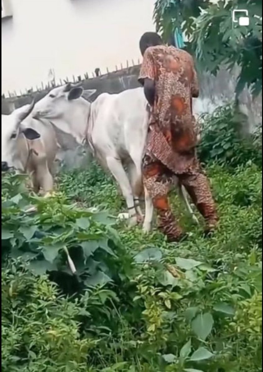 Anwar Bohebolo tweet media