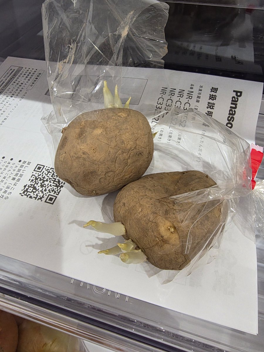 崖の上のユウト tweet media