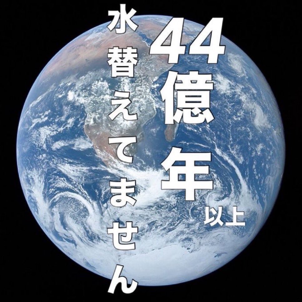 ずっと見ていたい動画 tweet media