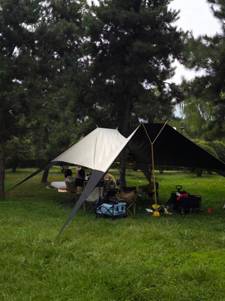 Eduarda Ochoa tweet media