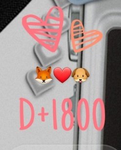 카멜❤️ tweet media