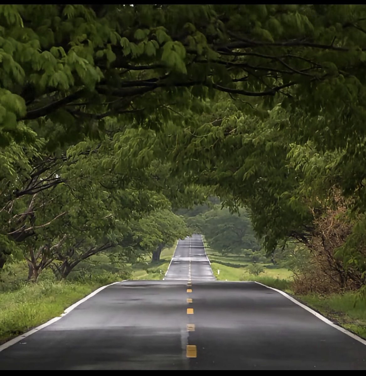 ❤️💛 tweet media