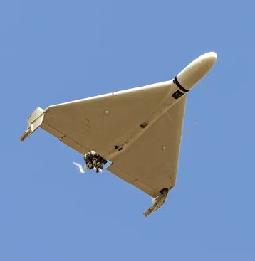 Crypto Rover tweet media