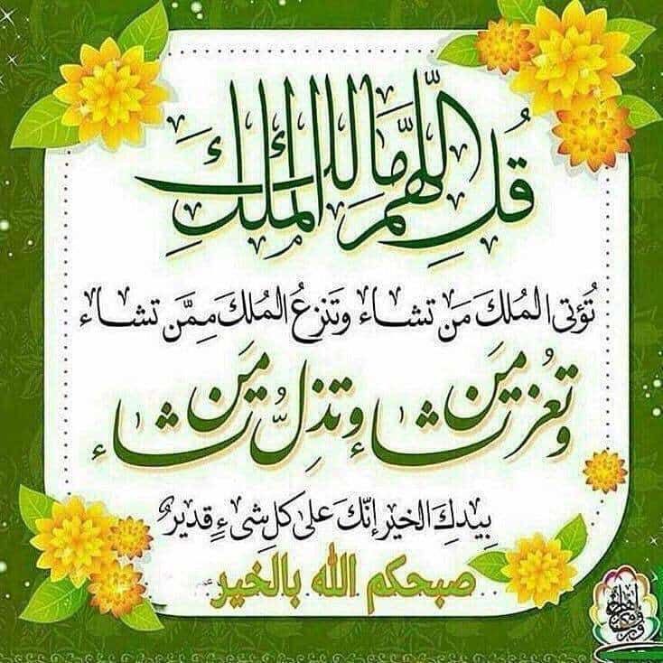 حلب ياروح tweet media