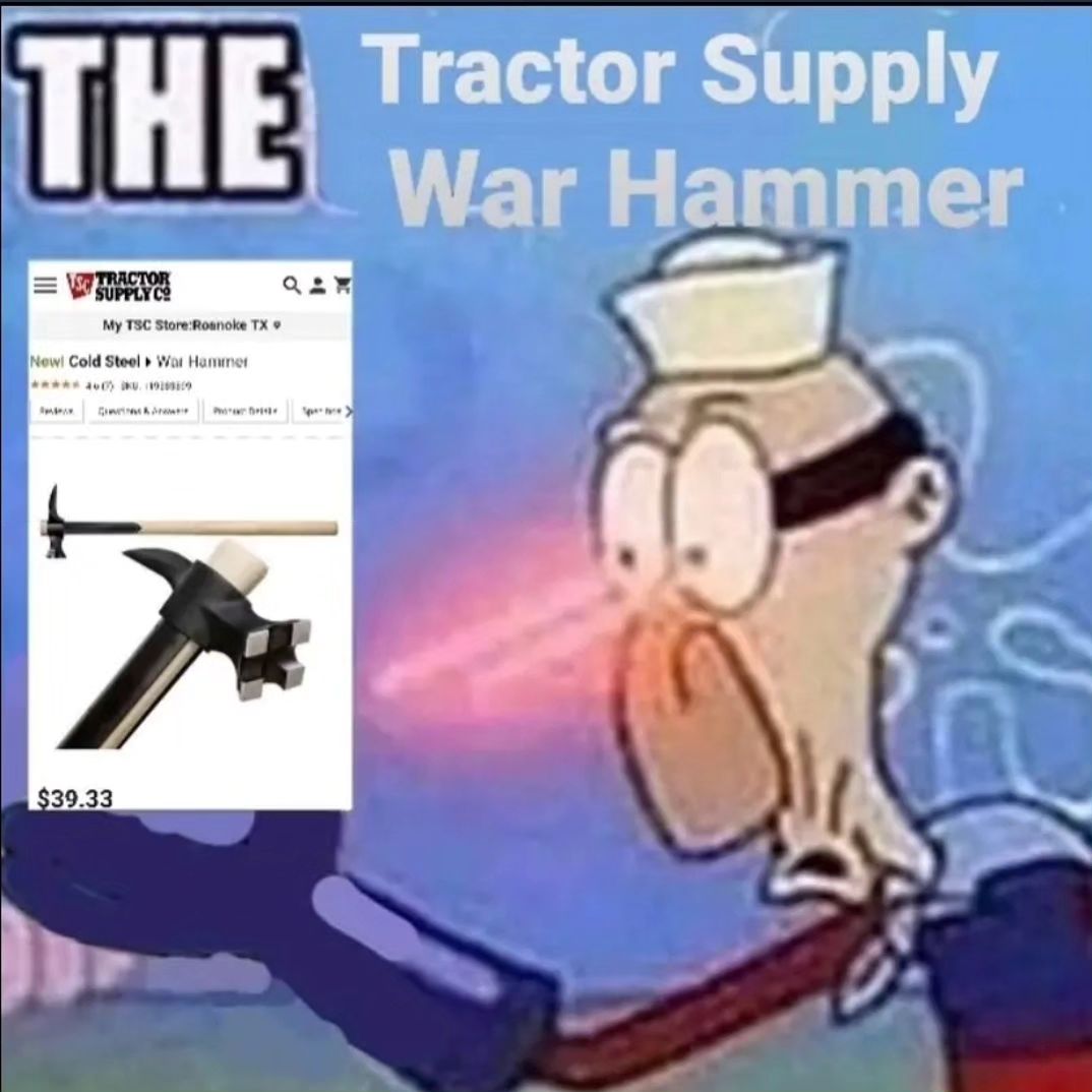 sponge.mp4 tweet media