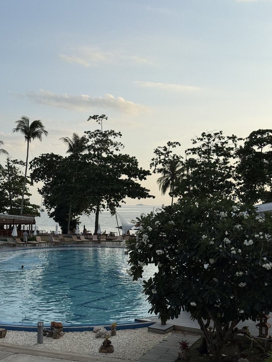 lelly 🫧 tweet media