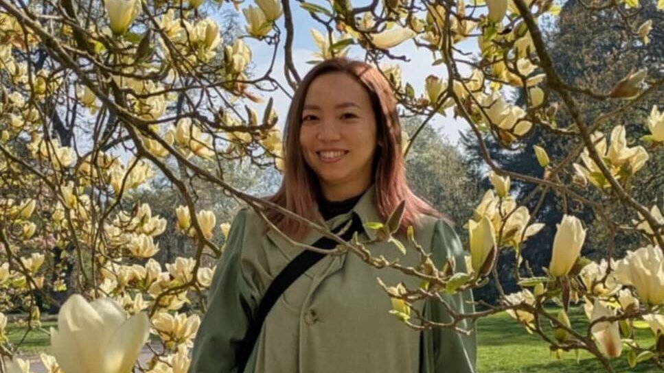 Shapefarm tweet media