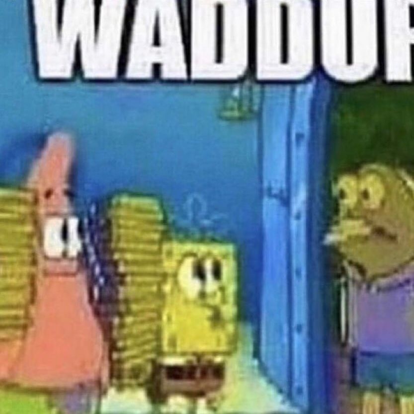 sponge.mp4 tweet media