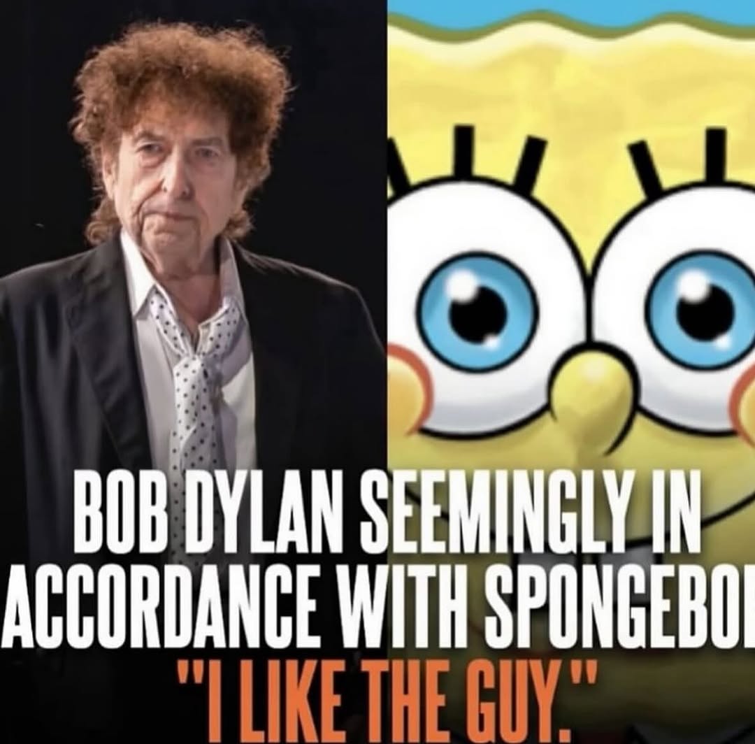 sponge.mp4 tweet media