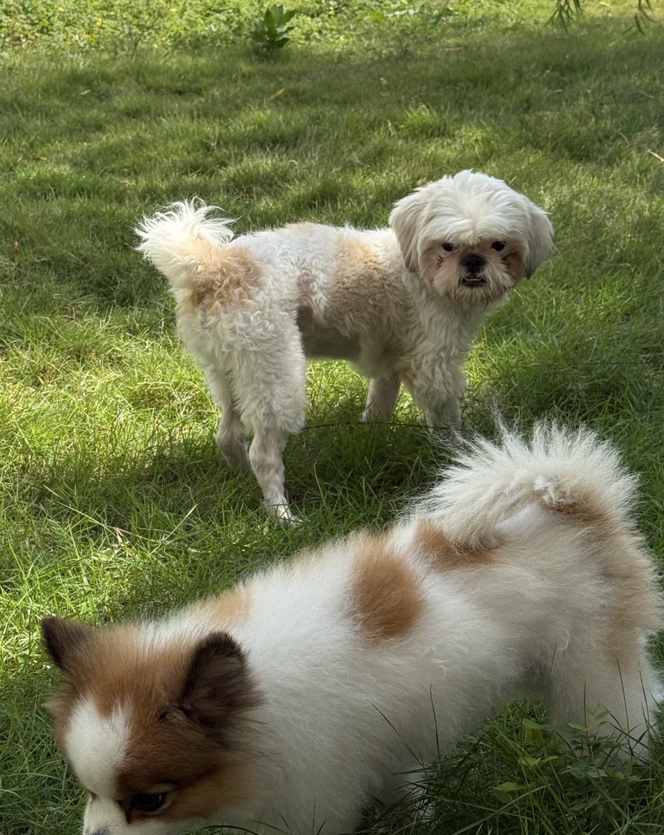 DNVP 💋 (Malonfamily) tweet media