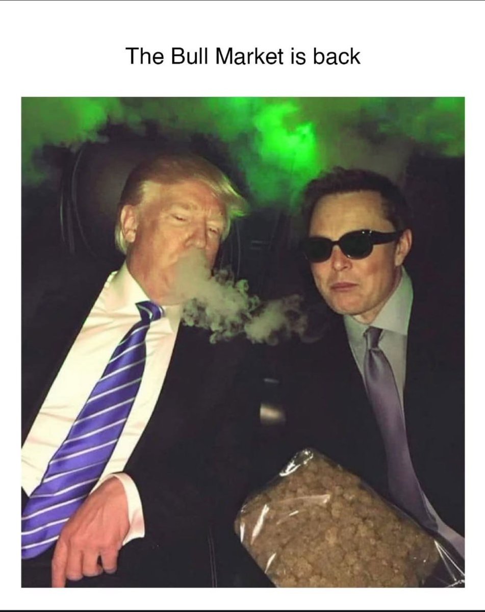 mihzeleganzy tweet media