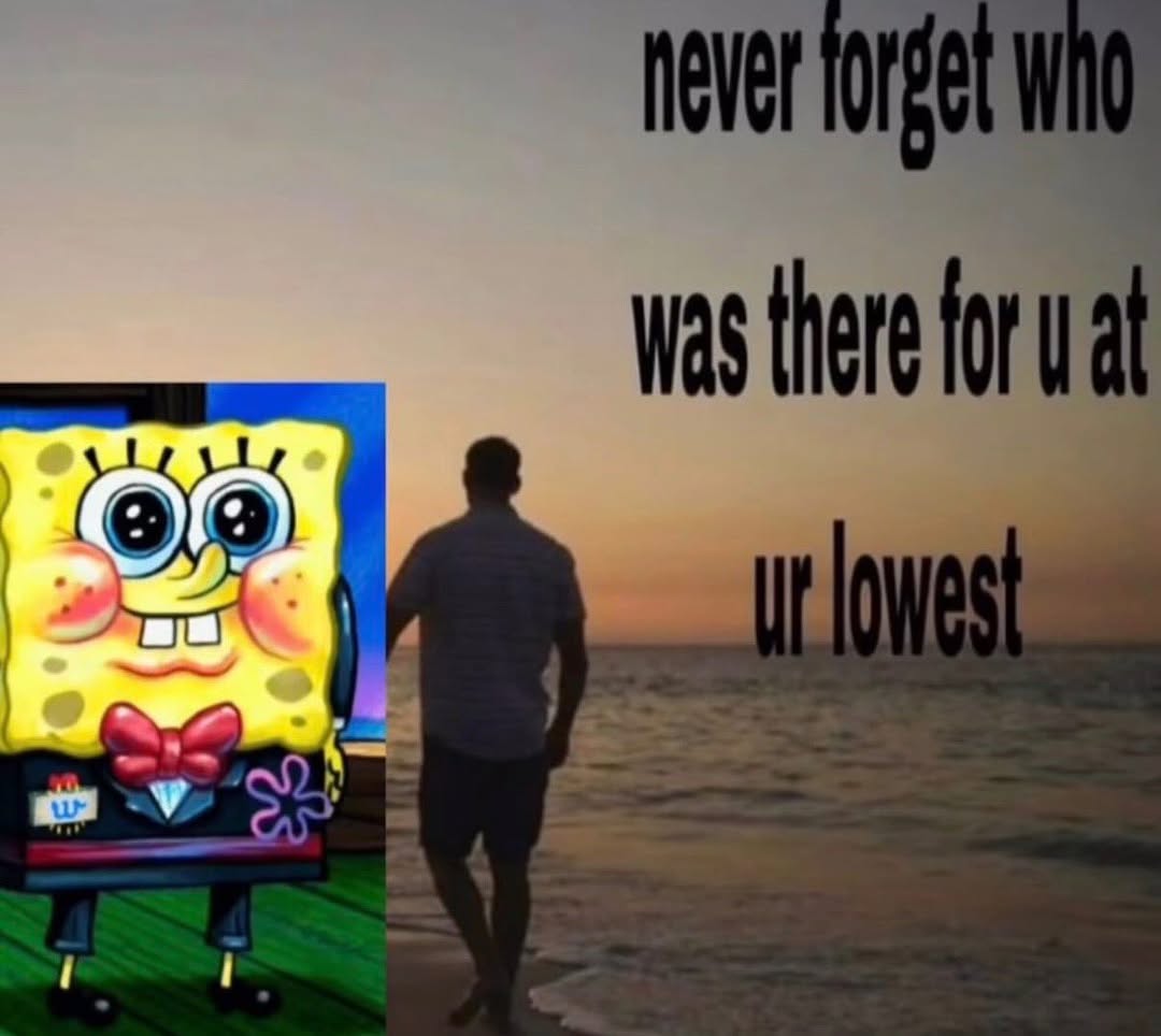 sponge.mp4 tweet media