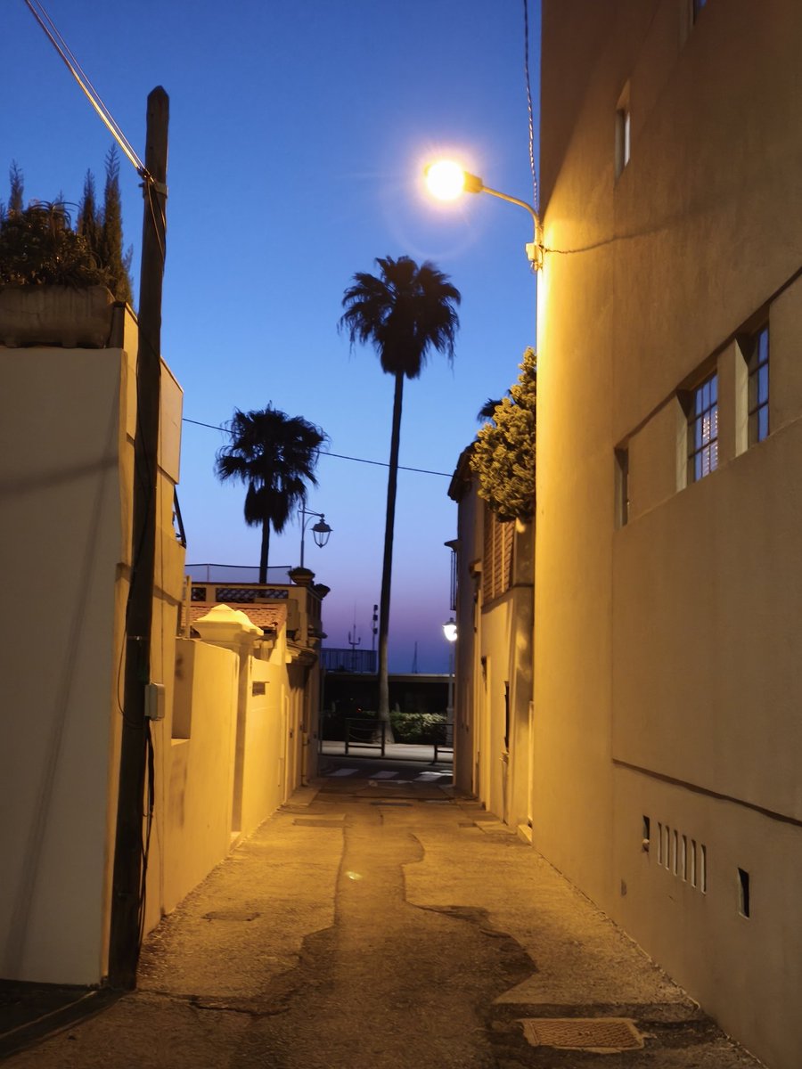 Michel de Cannes tweet media