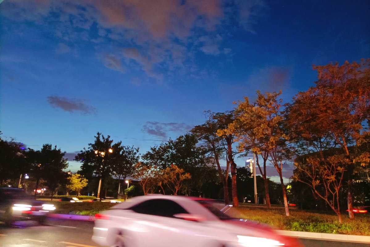 Teresa Fogel tweet media