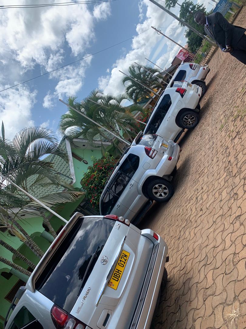 Gofly Car Hire tweet media