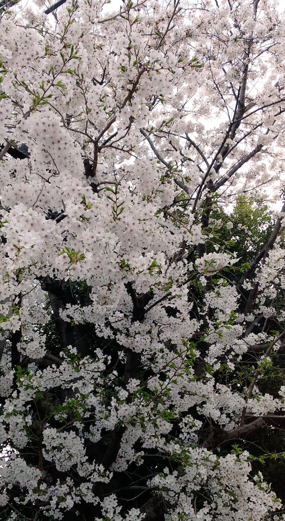 和田誠-CAPTAIN-WADA tweet media